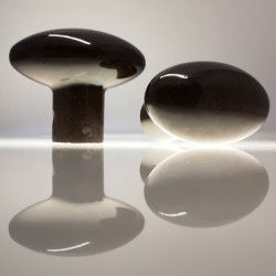 Elliptical Oval Bakelite Door Knob Elliptical Oval Bakelite Door Knob