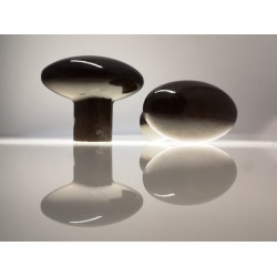 Elliptical Oval Bakelite Door Knob Elliptical Oval Bakelite Door Knob