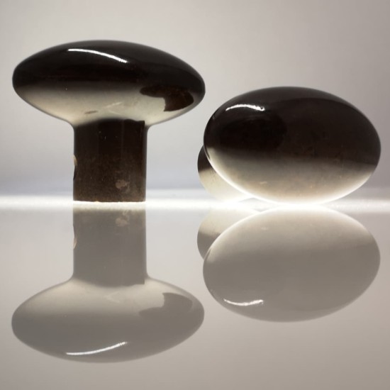 Elliptical Oval Bakelite Door Knob Elliptical Oval Bakelite Door Knob