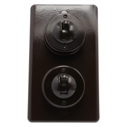 Vintage Crabtree Bakelite 2Gang Light Switch on a Matching Flush Panel Plinth