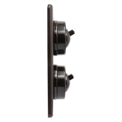 Vintage Crabtree Bakelite 2Gang Light Switch on a Matching Flush Panel Plinth