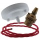 Ceiling Pendant Kit with Large Gloss White Rose and B22 Lampholder in Antique Brass Finish with Bright Red Flex